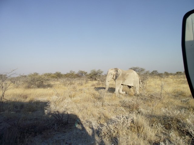 Namibia 082